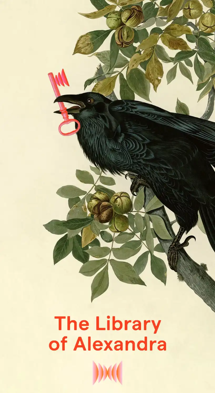 The Library of Alexandra project image